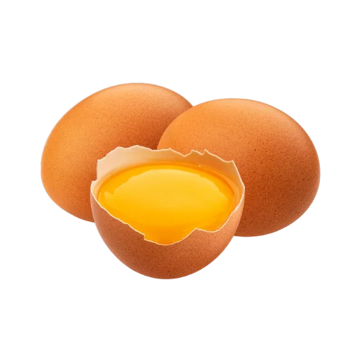 Egg