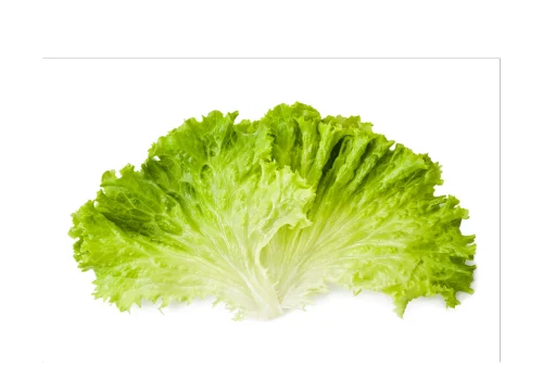 Lettuce