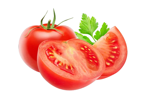 Tomato